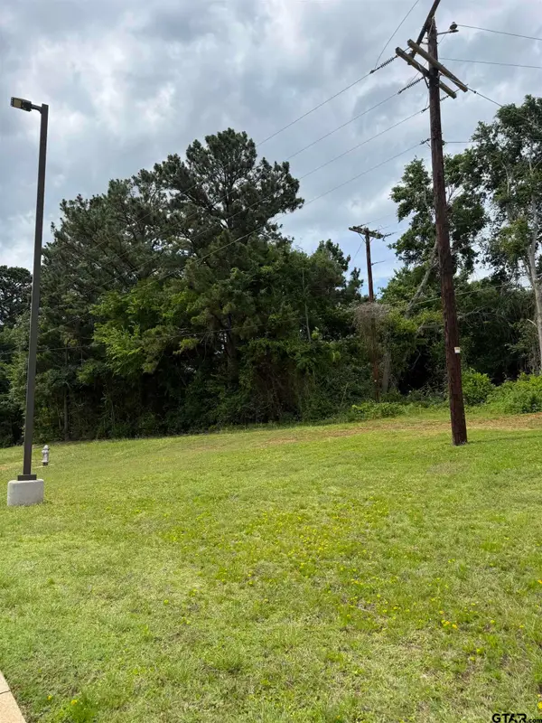 TBA HWY 1`55, Palestine, TX 75803