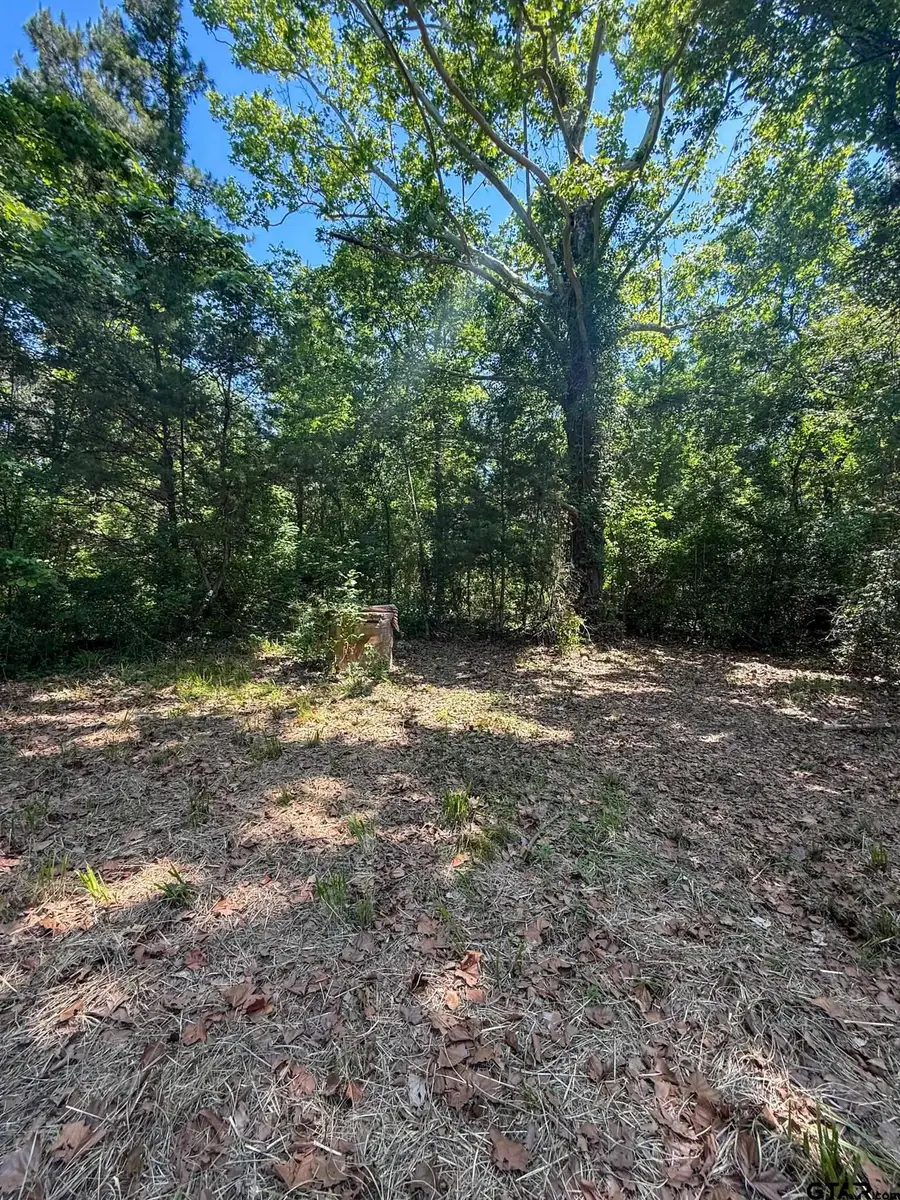 1329 C R 2112, Rusk, TX 75785 - #3