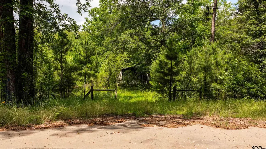 2189 FM 19, Palestine, TX 75801 - #3
