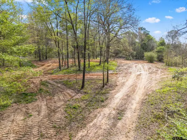 TBD Woodchuck Rd, Pittsburg, TX 75686