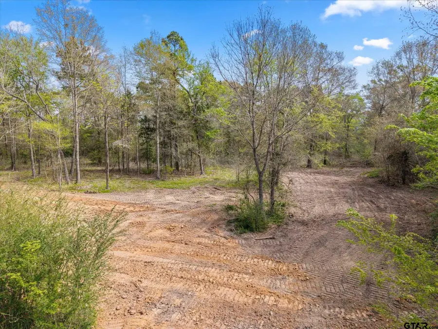 TBD Woodchuck Rd, Pittsburg, TX 75686 - #2