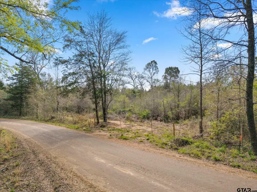 TBD Woodchuck Rd, Pittsburg, TX 75686 - #2