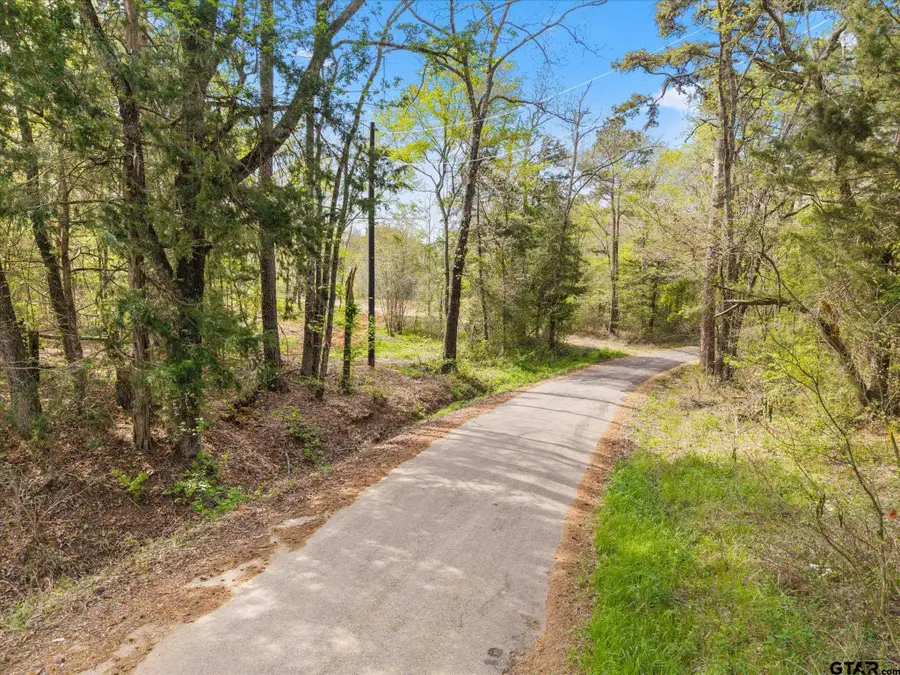 TBD Woodchuck Rd, Pittsburg, TX 75686 - #3
