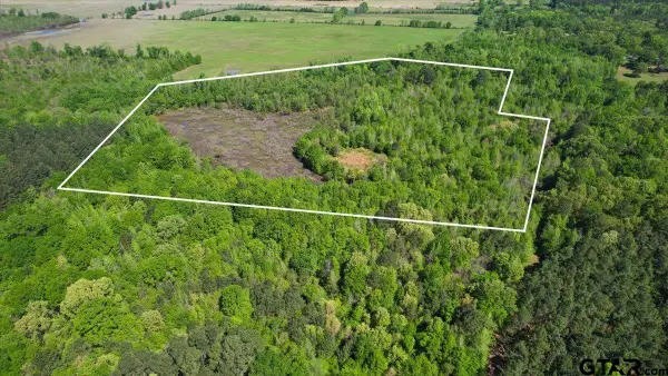 TBD CR 1143, Daingerfield, TX 75638