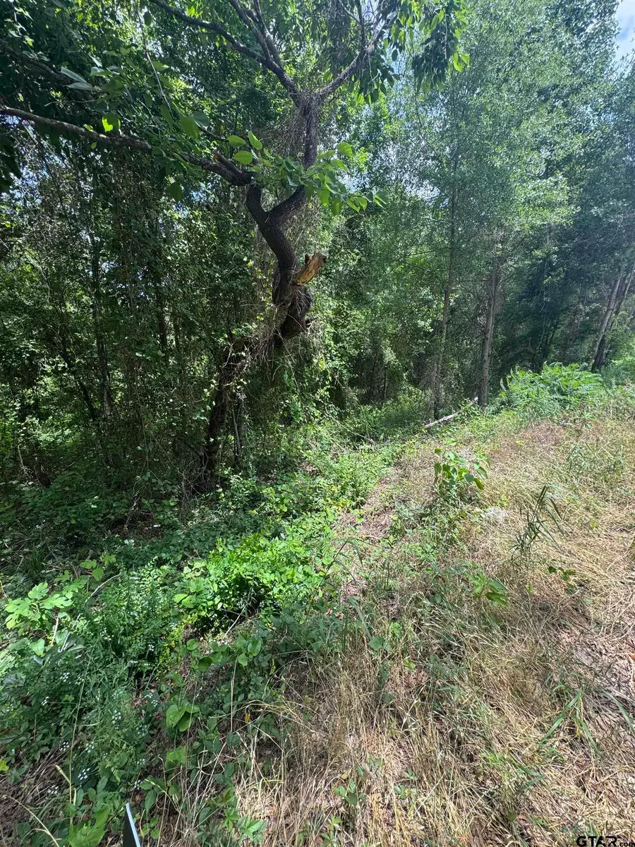 13898 County Road 1250, Tyler, TX 75709 - #3