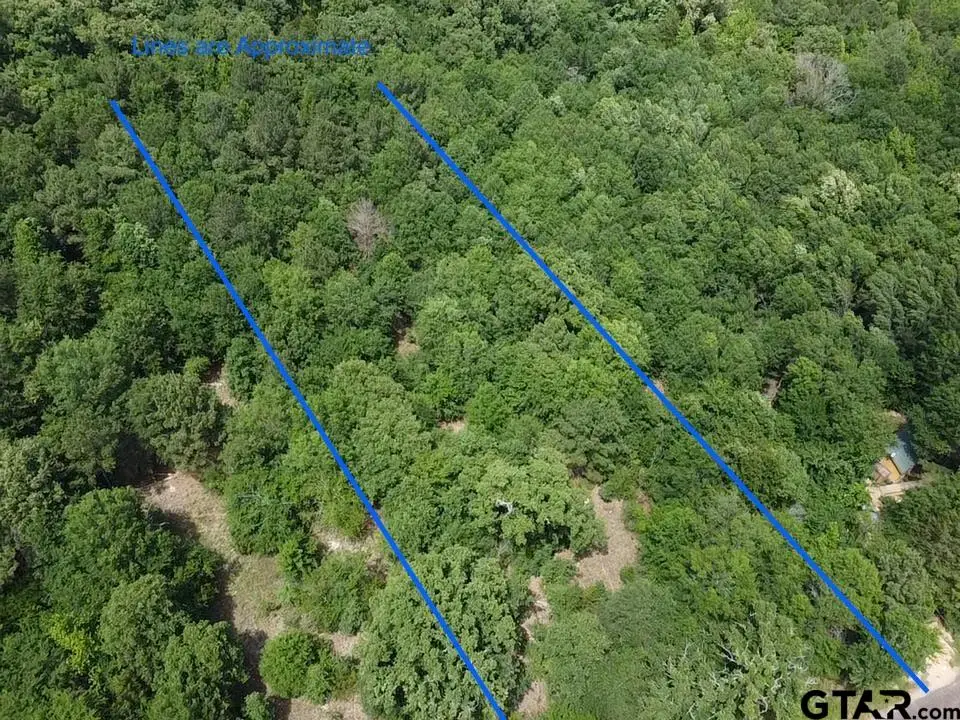 TBD CR 1460, Quitman, TX 75783 - #1