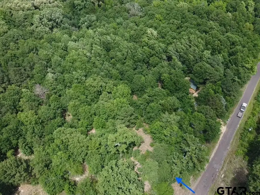 TBD CR 1460, Quitman, TX 75783 - #2