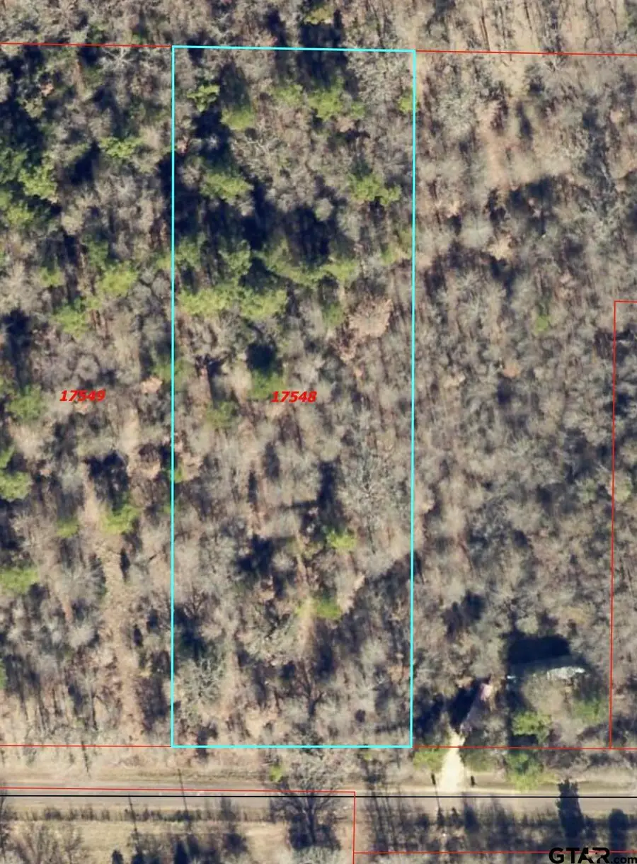 TBD CR 1460, Quitman, TX 75783 - #3