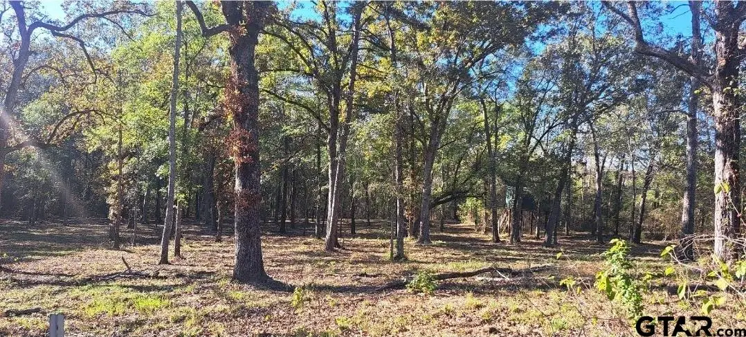 TBD CR 4147, Lindale, TX 75771 - #1