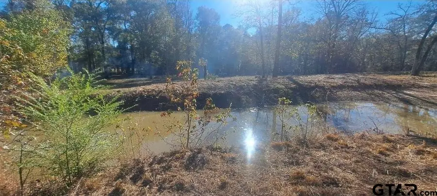TBD CR 4147, Lindale, TX 75771 - #2