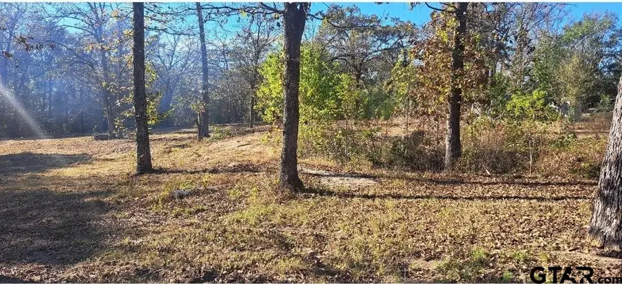 TBD CR 4147, Lindale, TX 75771 - #3