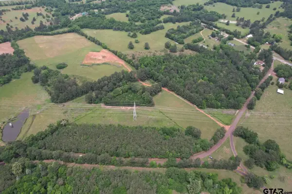 TBD County Road 3163, Laneville, TX 75667
