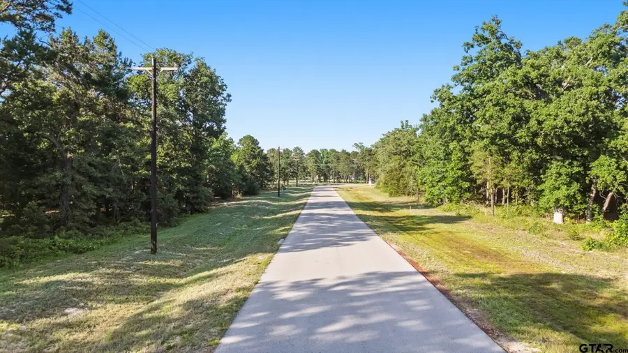 3132 Shadow Pine Dr, Larue, TX 75770 - #3