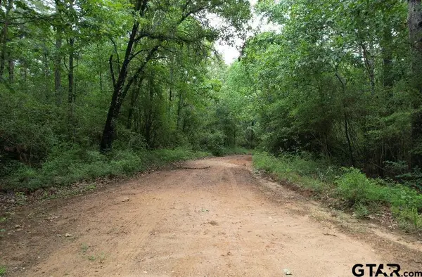 TBD County Road 4679, Tenaha, TX 75974