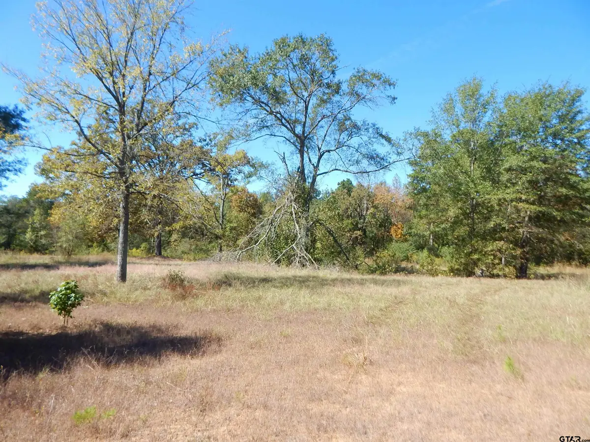 TBD 3.5 ACRES HWY 155, Gilmer, TX 75644 - #1