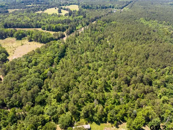 1 County Road 1115, Atlanta, TX 75551