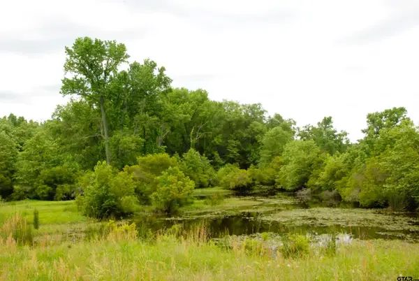 000 FM 857, Grand Saline, TX 75140