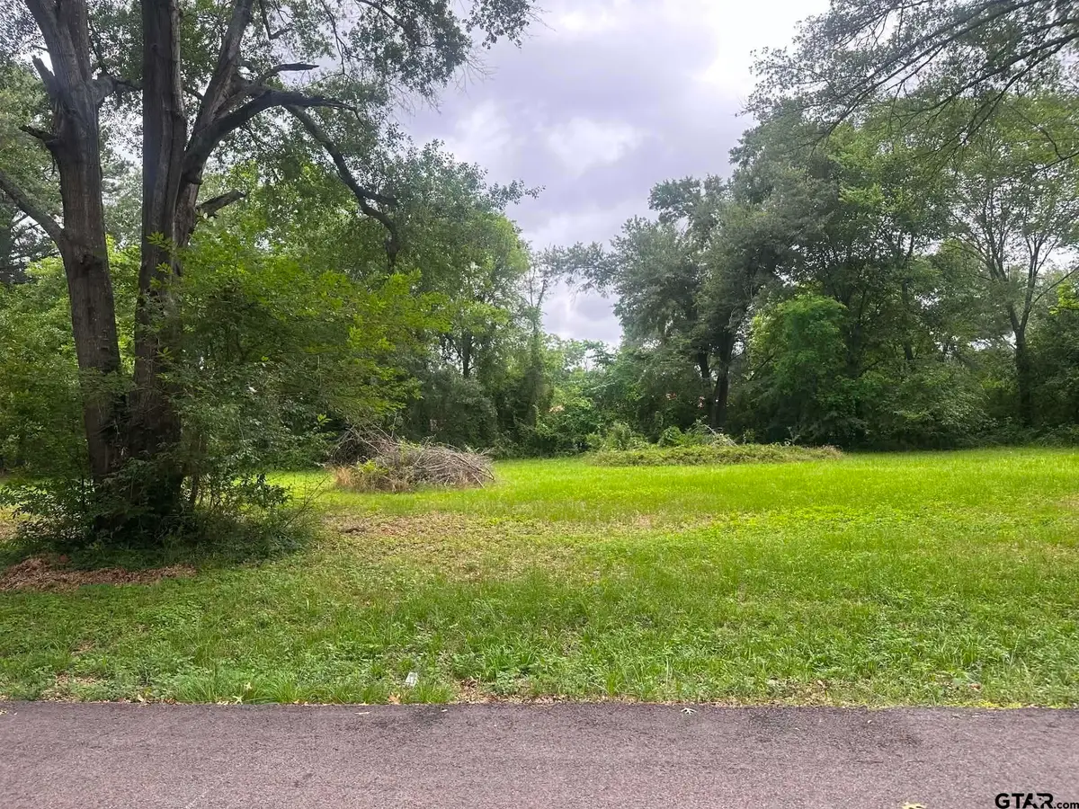 0 Ricky Dr, Palestine, TX 75802 - #1
