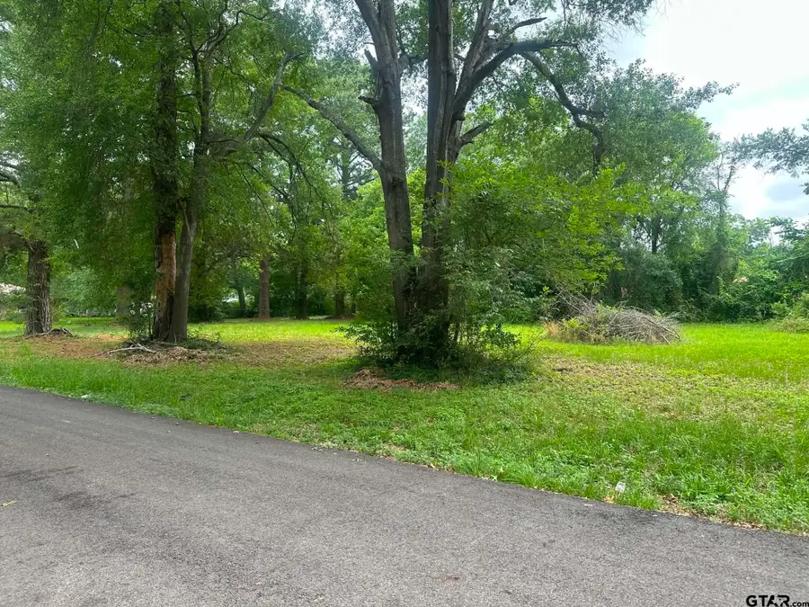 0 Ricky Dr, Palestine, TX 75802 - #2
