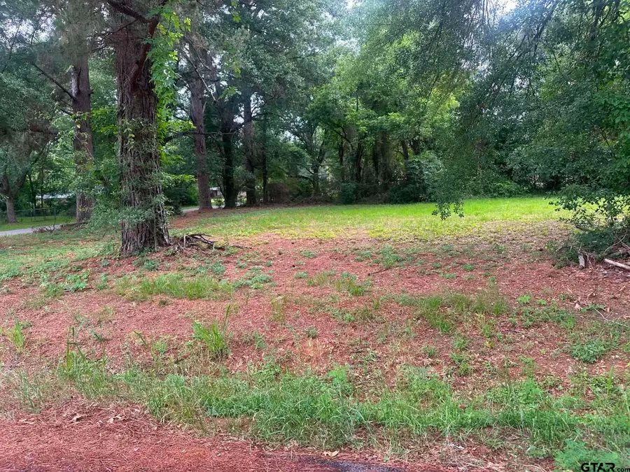 0 Ricky Dr, Palestine, TX 75802 - #3