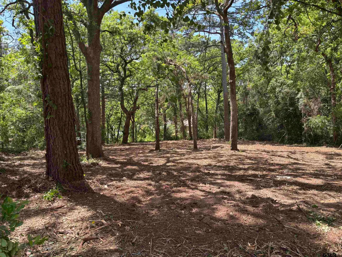 514 Dogwood Ln, Hideaway, TX 75771 - #1