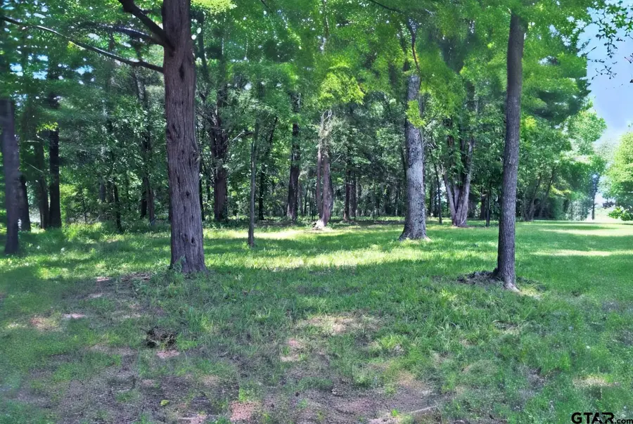 Lot 11 Private Road 5944, Yantis, TX 75497 - #3