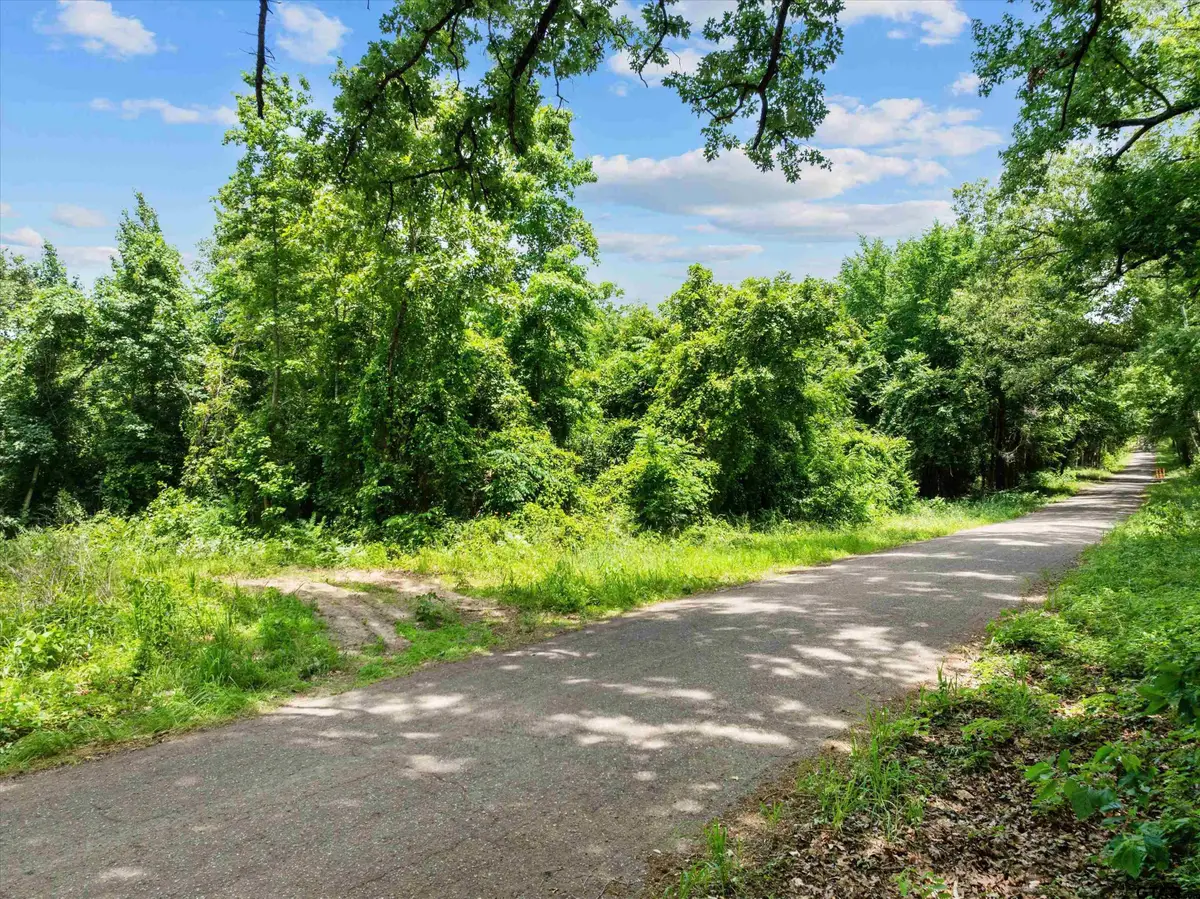 17835 County Road 361, Winona, TX 75792 - #1