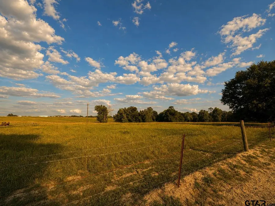 2.054 ACRES CR 3160, Quitman, TX 75783 - #2