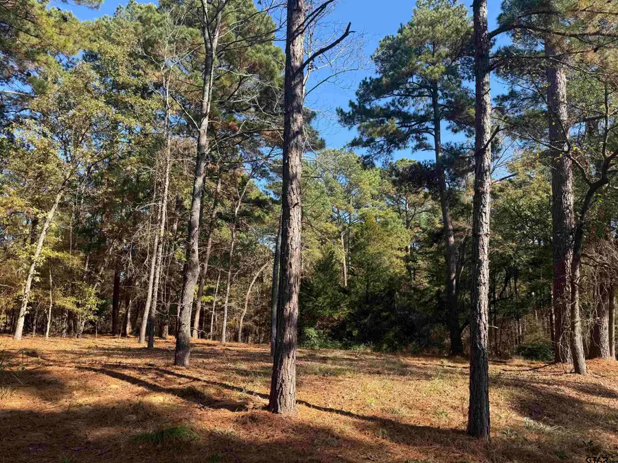 186 Susan Dr, Bullard, TX 75757 - #2