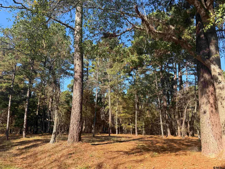 186 Susan Dr, Bullard, TX 75757 - #3