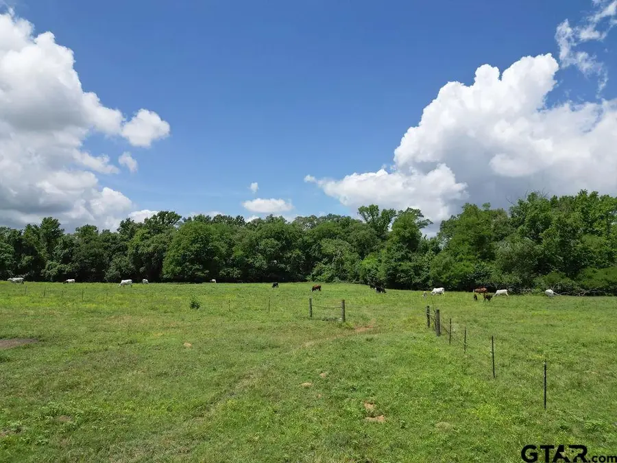 4418 FM 1000, Mount Pleasant, TX 75455 - #3