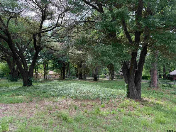 TBD Oakleigh Street, Hawkins, TX 75765