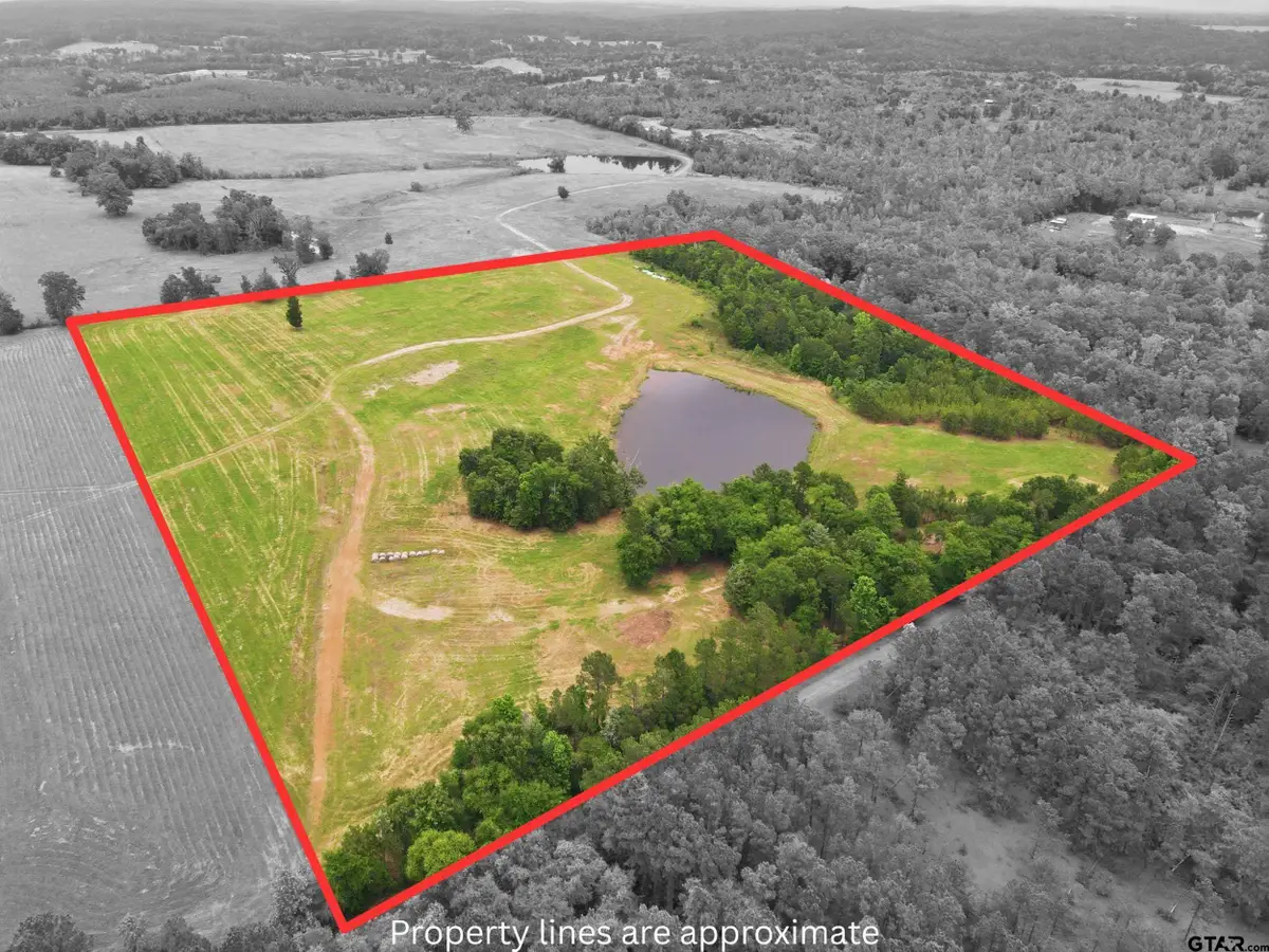 TBD CR 2993B, Hughes Springs, TX 75656 - #1