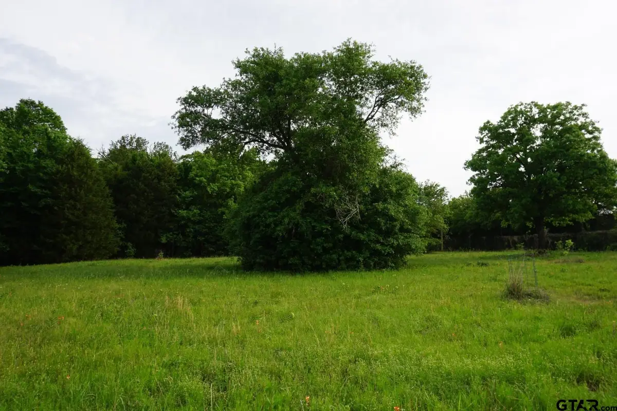 TBD CR 1200, Malakoff, TX 75148 - #1