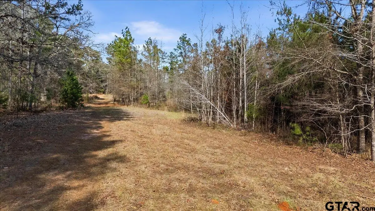 TBD HIGHWAY 135, Troup, TX 75789 - #1