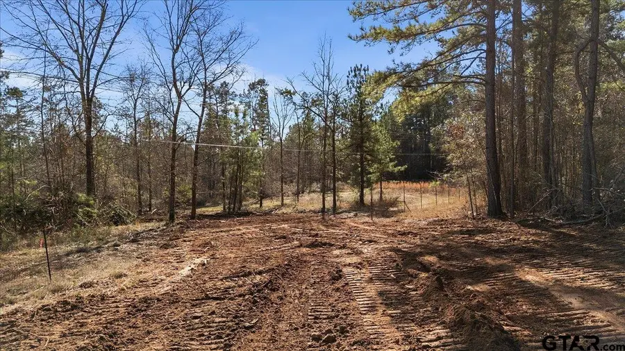 TBD HIGHWAY 135, Troup, TX 75789 - #3