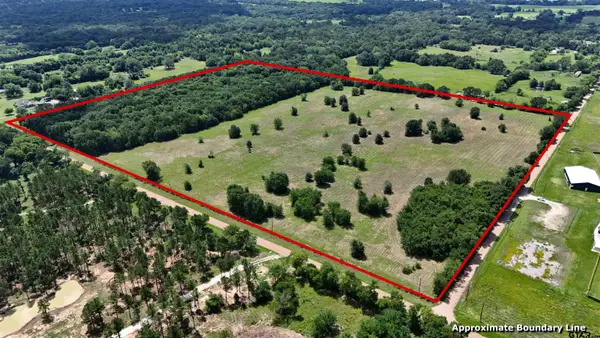 TBD Cr 1119, Athens,  75751