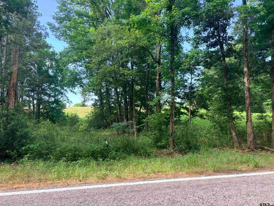 LOT 9 5.45 ACRES FM 15, Troup, TX 75789 - #2