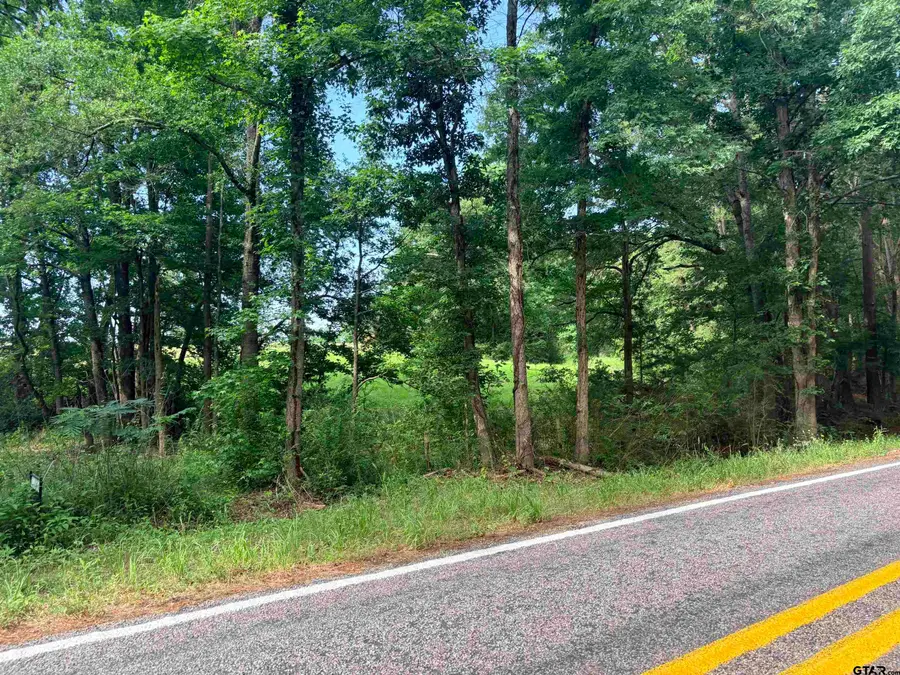 LOT 9 5.45 ACRES FM 15, Troup, TX 75789 - #3