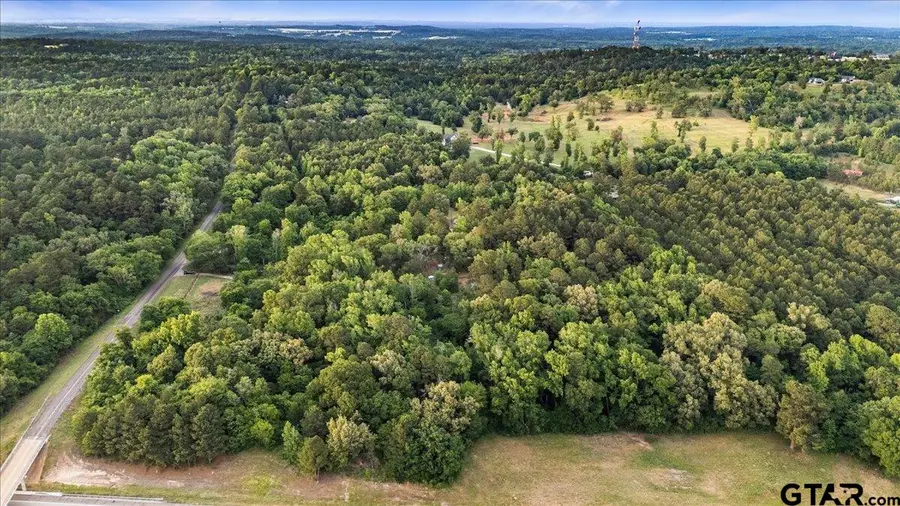 12772 County Road 353, Winona, TX 75792 - #3