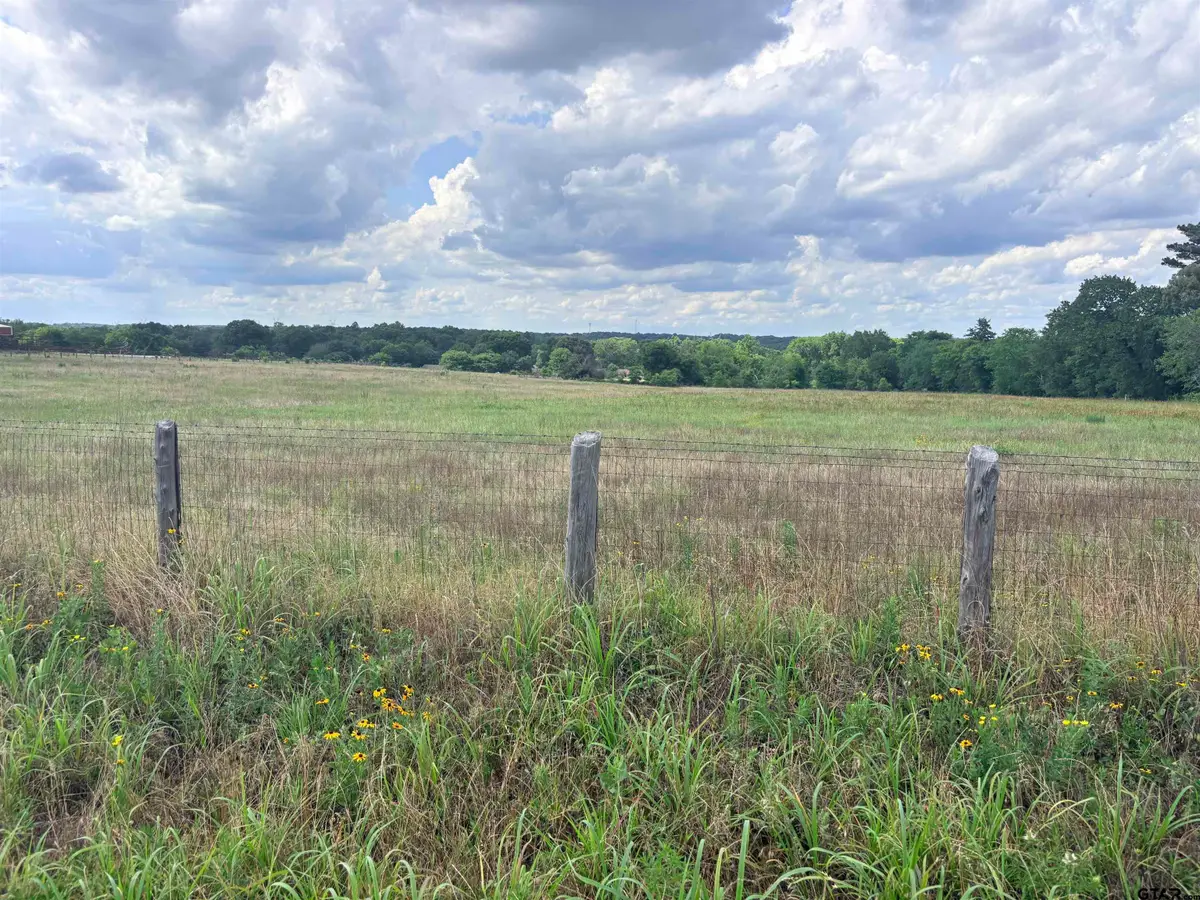 TBD COUNTY ROAD 1140, Tyler, TX 75709 - #1