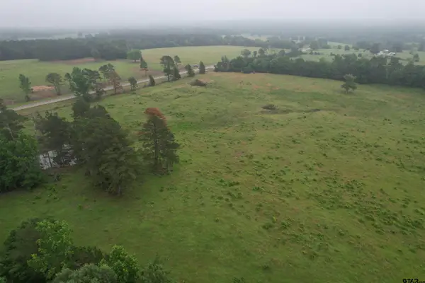TBD-D FM 2867, Henderson, TX 75654
