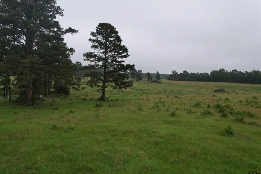 TBD-D FM 2867, Henderson, TX 75654 - #2