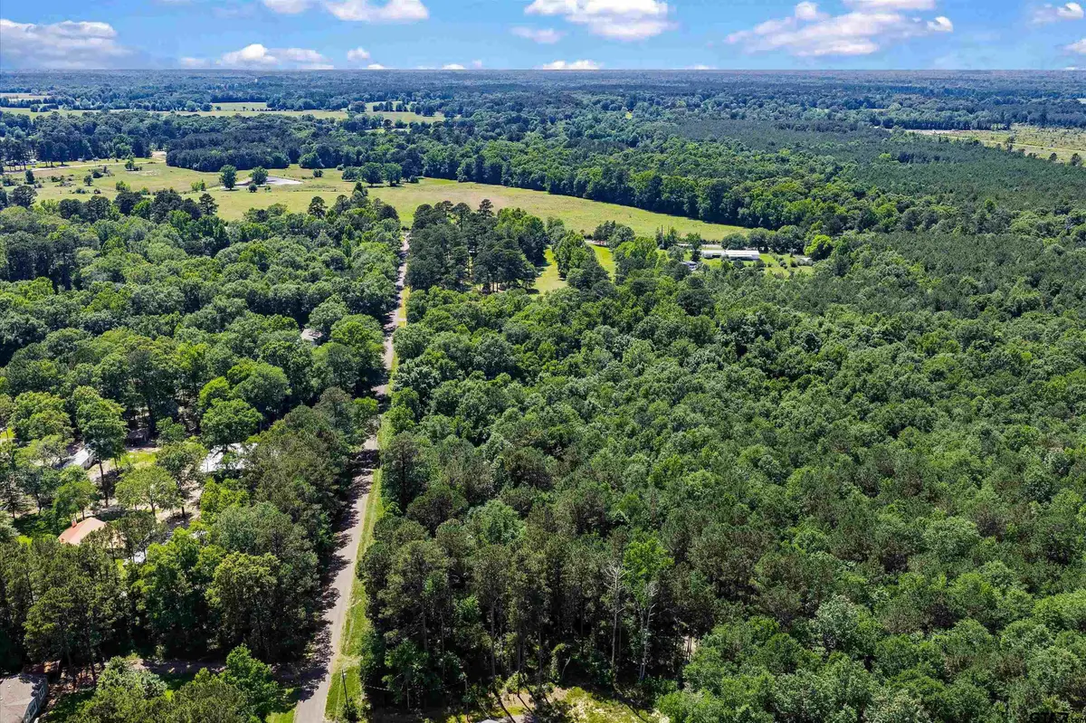 TBD CR 3361 (Tract # A), De Berry, TX 75639 - #1