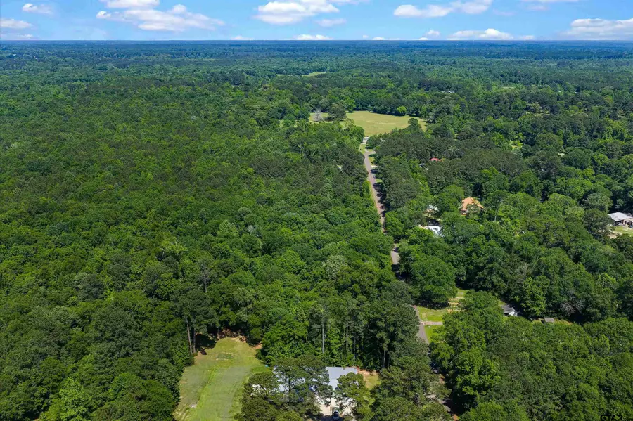 TBD CR 3361 (Tract # A), De Berry, TX 75639 - #3