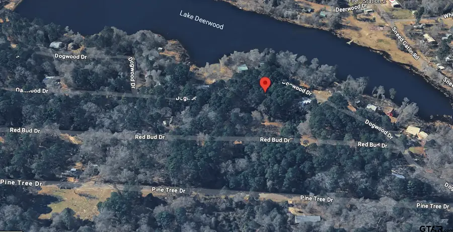TBD Redbud DR, Harleton, TX 75651 - #3