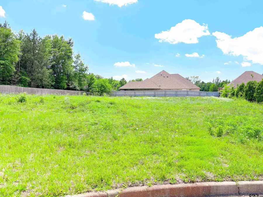 7761 Laurel Springs Ln, Tyler, TX 75703 - #2