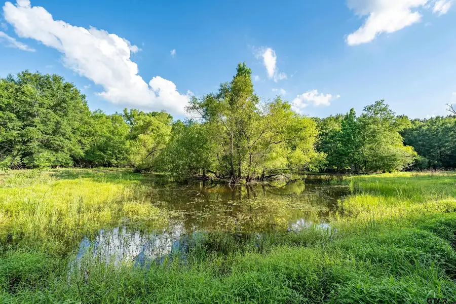 16661 PR 2360, Oakwood, TX 75855 - #2