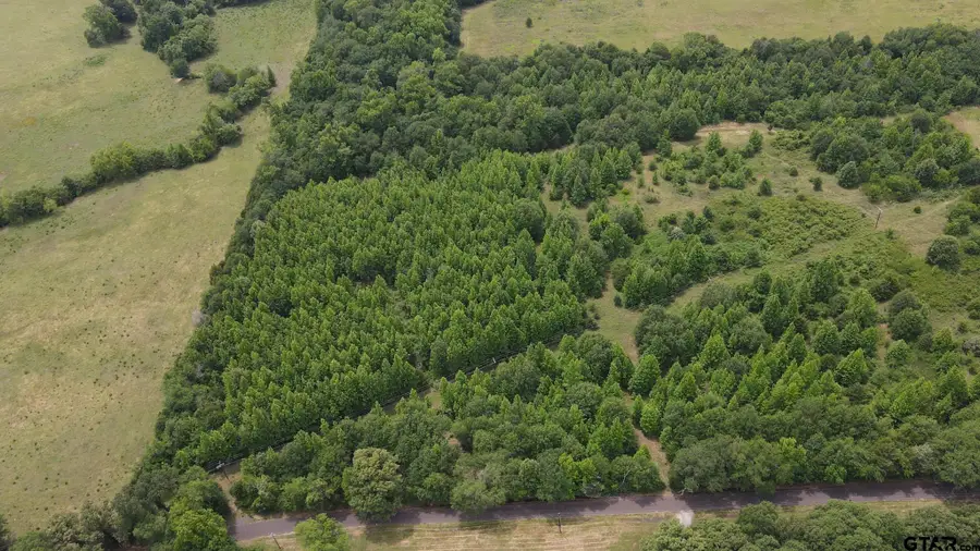 TBD County Road 2324, Como, TX 75431 - #3