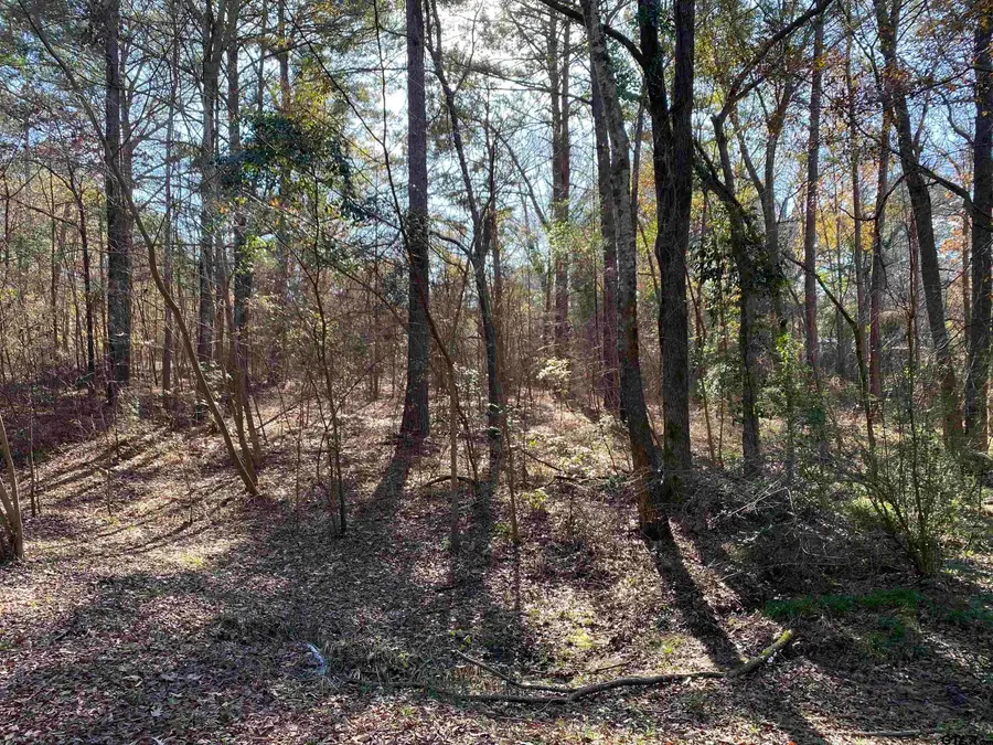 Lot 11 Carene, Frankston, TX 75763 - #3